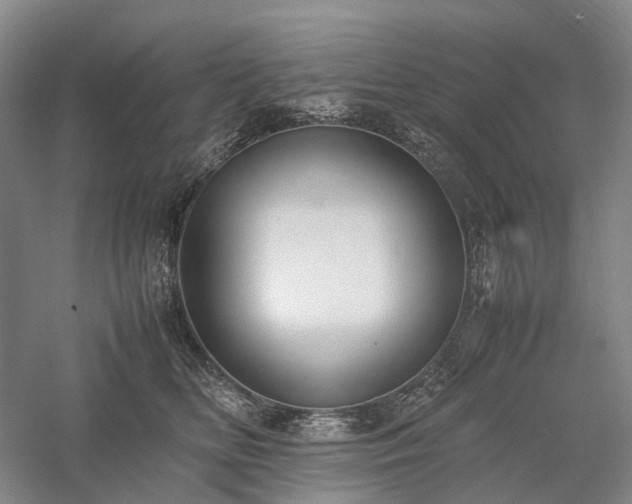 X0000058110518200509231029