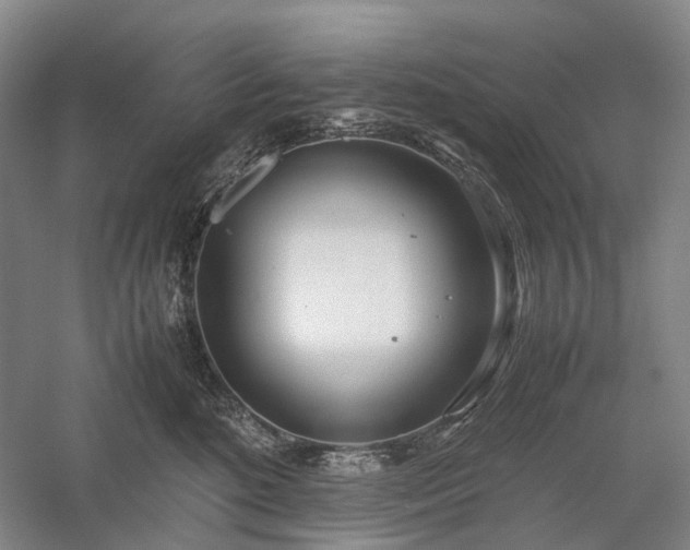 X0000058110520200509231029