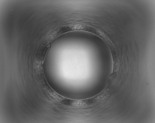 X0000058110521200509231029