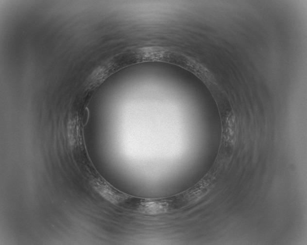 X0000058110522200509231029