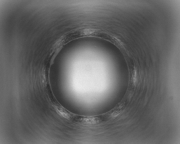 X0000058110524200509231029