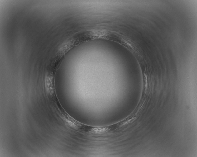 X0000058110526200509231029