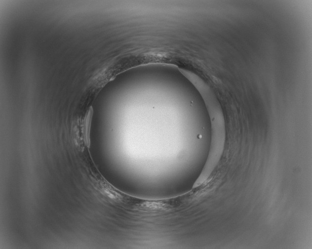 X0000058110528200509231029