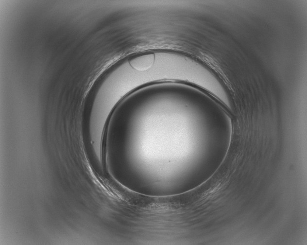 X0000058110534200509231028