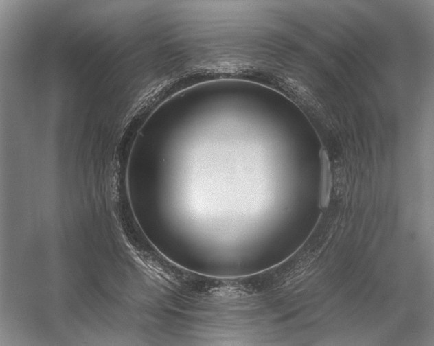 X0000058110544200509231029