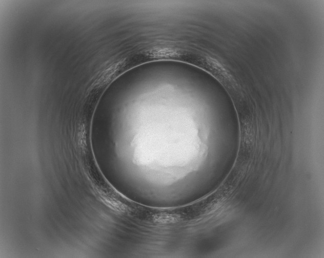 X0000058110549200509231029
