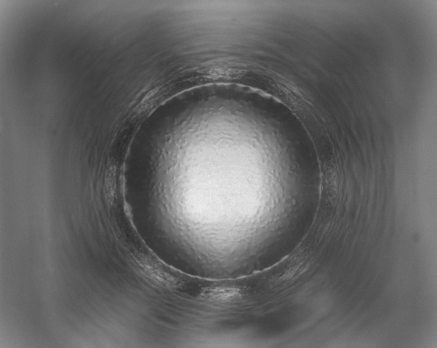 X0000058110554200509231029