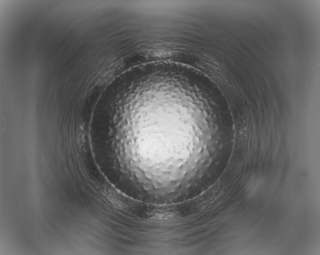 X0000058110555200509231029