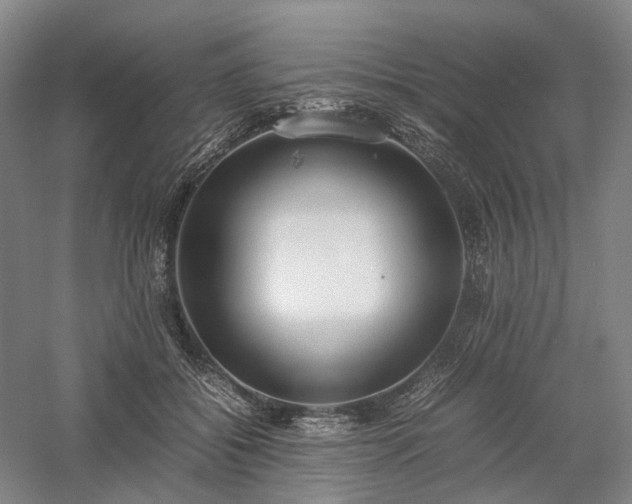 X0000058110556200509231029