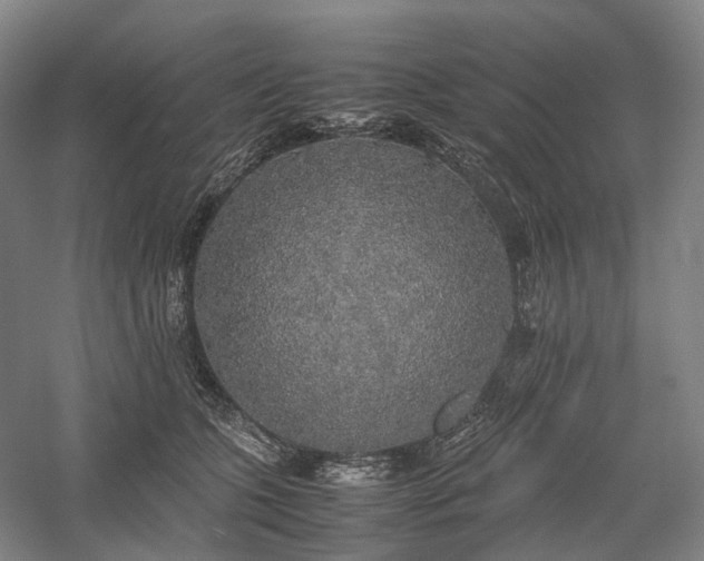X0000058110563200509231029