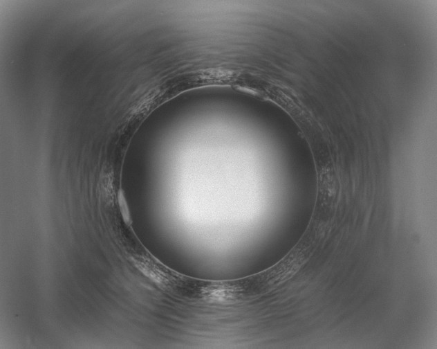 X0000058110564200509231029