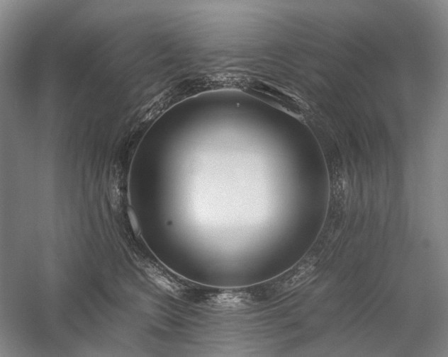 X0000058110566200509231029