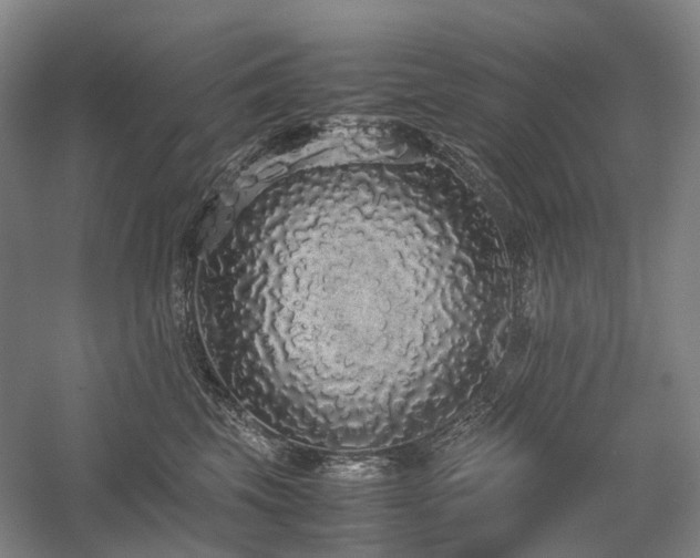 X0000058110569200509231029