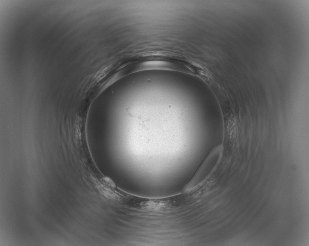 X0000058110570200509231029