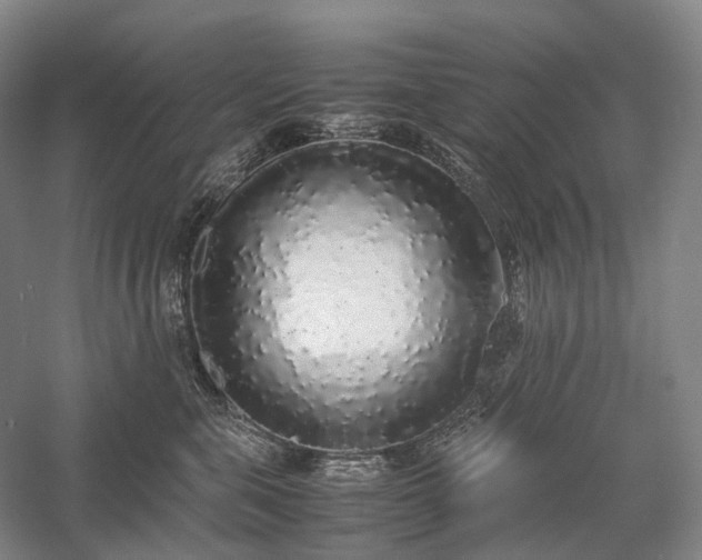 X0000058110571200509231029