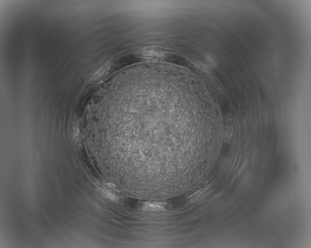 X0000058110573200509231029