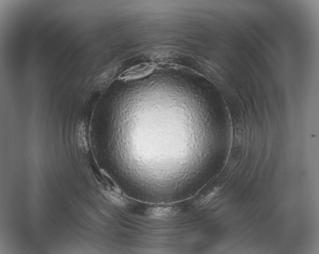 X0000058110575200509231029