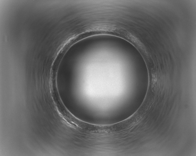 X0000058110580200509231028