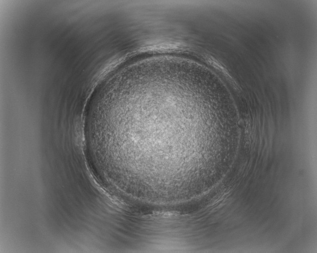 X0000058110582200509231028