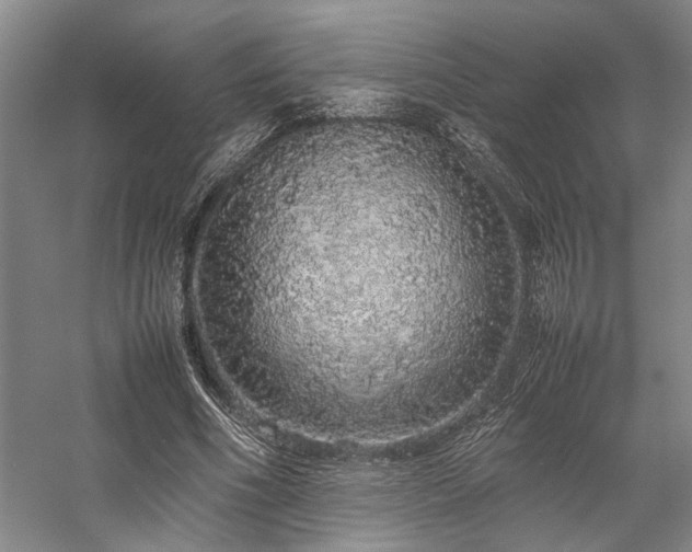 X0000058110586200509231028