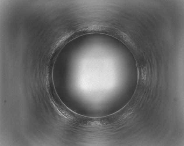X0000058110588200509231028