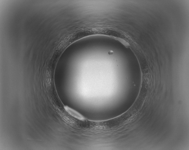 X0000058110593200509231028
