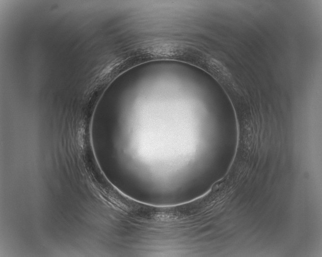 X0000058110596200509231028