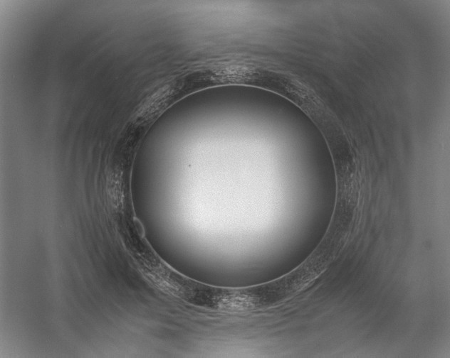 X0000058110599200509231028