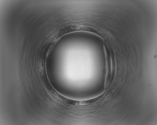 X0000058110607200509231028