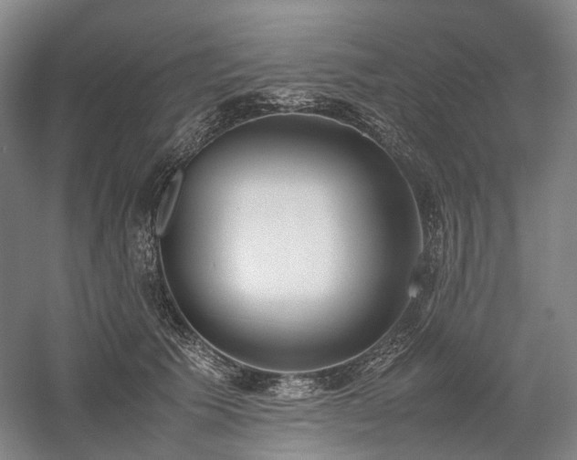X0000058110609200509231028