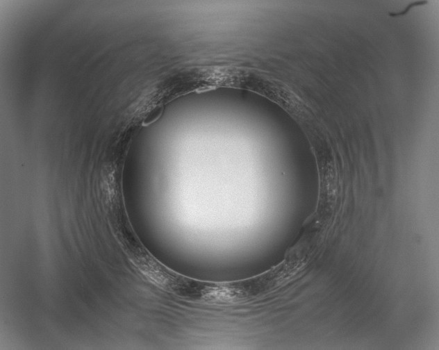 X0000058110611200509231028