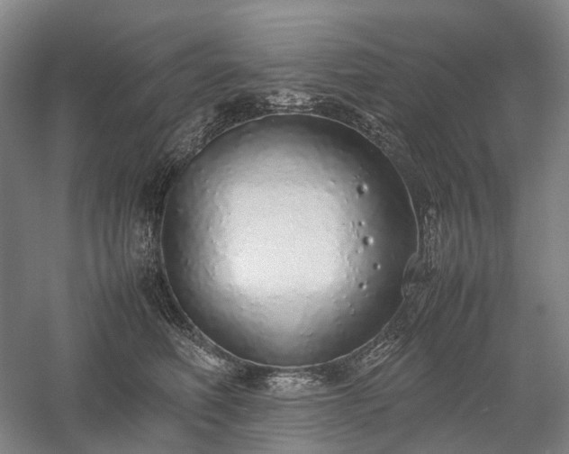 X0000058110614200509231028