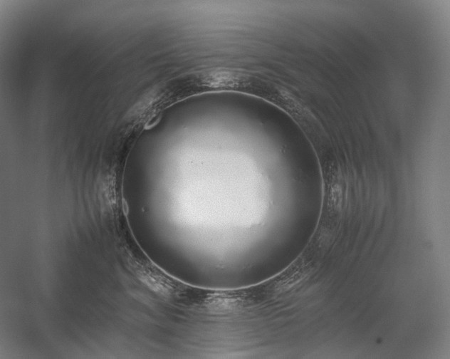 X0000058110620200509231028