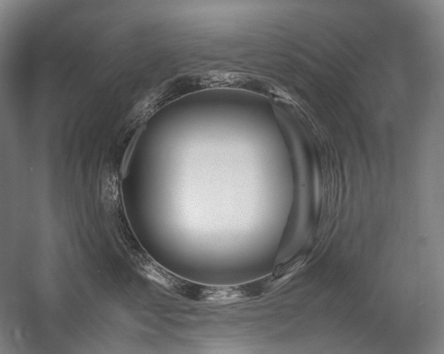 X0000058110621200509231028