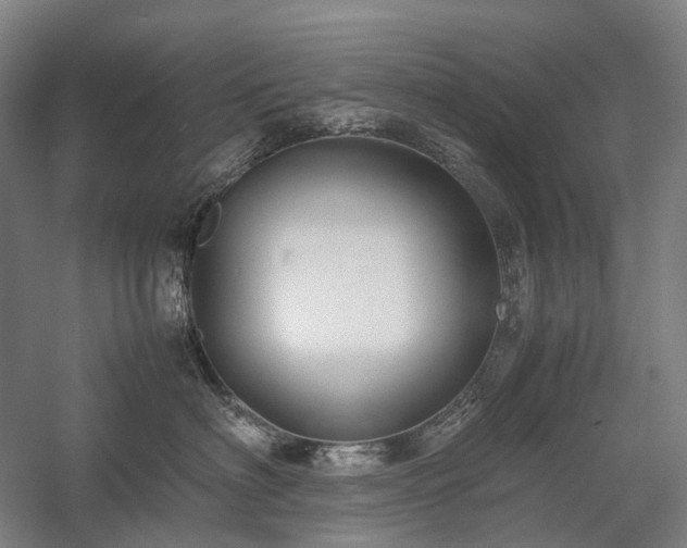 X0000058110622200509231028