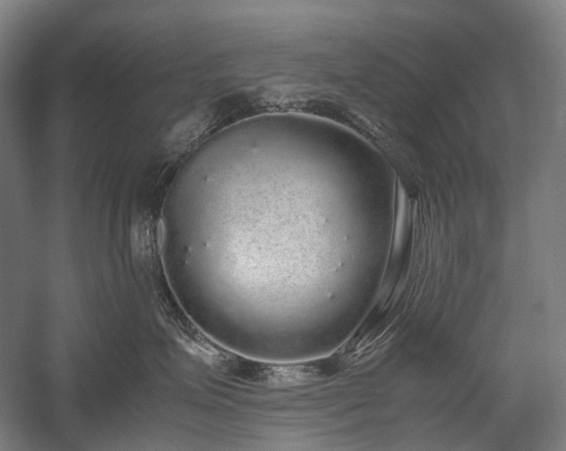 X0000058110623200509231027