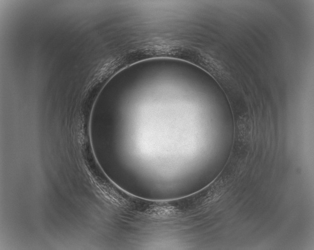 X0000058110642200509231027
