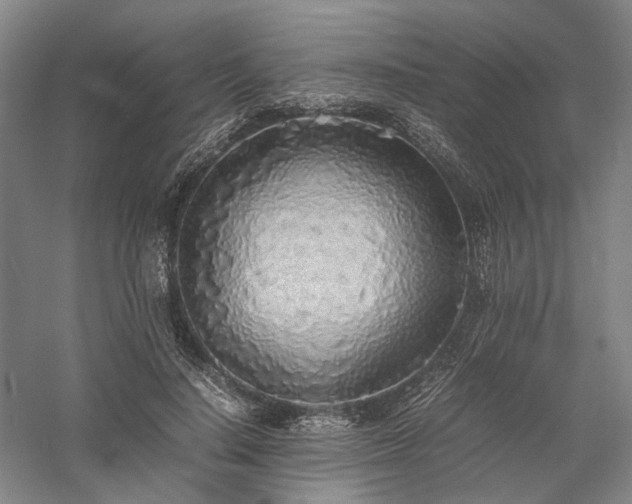 X0000058110644200509231027