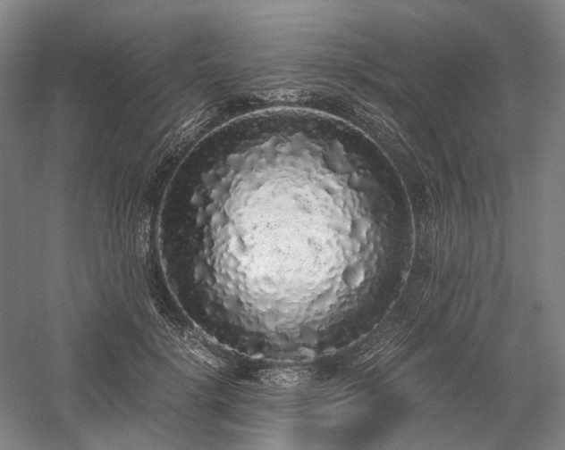 X0000058110652200509231027