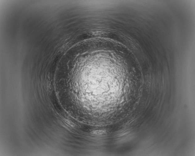 X0000058110653200509231027