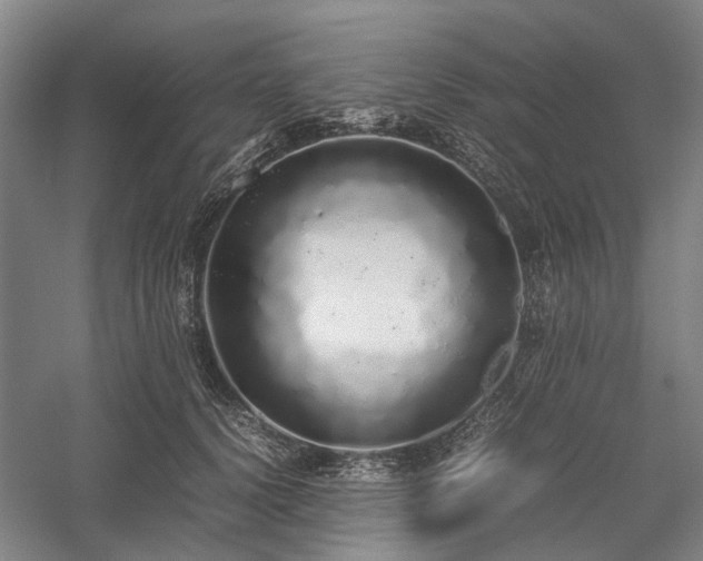 X0000058110656200509231027