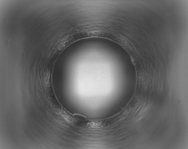 X0000058110660200509231027