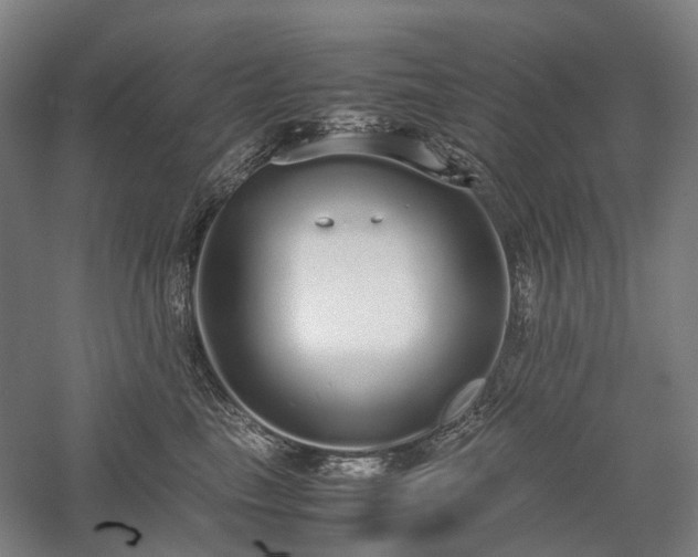 X0000058110665200509231027