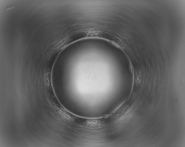 X0000058110666200509231027
