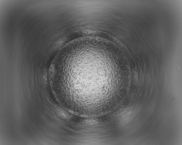 X0000058110668200509231027