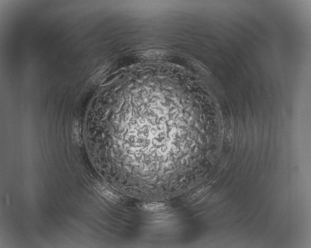 X0000058110669200509231027