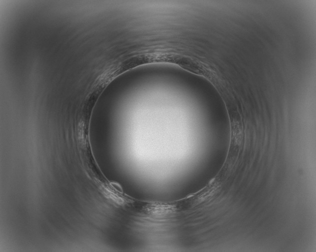 X0000058110670200509231027