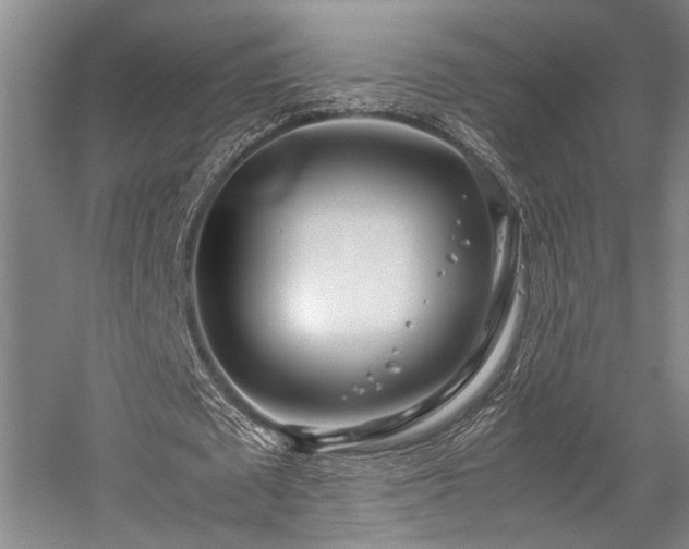X0000058110673200509231027