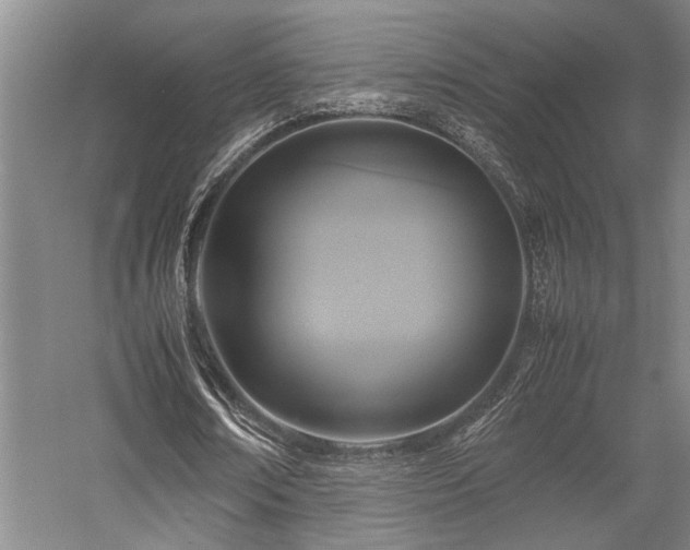 X0000058110674200509231027