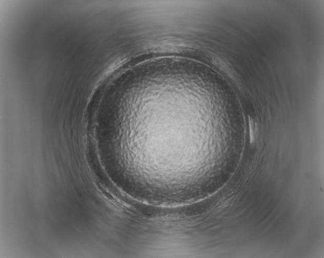 X0000058110675200509231027